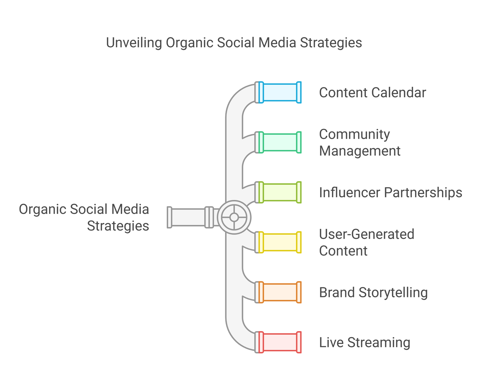 12 - SMM (Social Media Marketing) - Organic Strategy